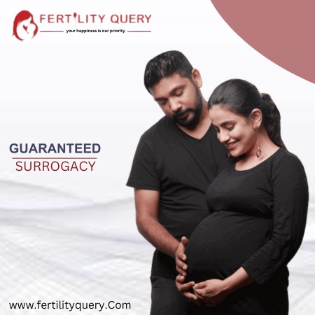 Guaranteed Surrogacy Package in Delhi @20 Lakhs