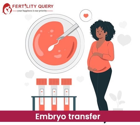 What is Embryo Transfer?